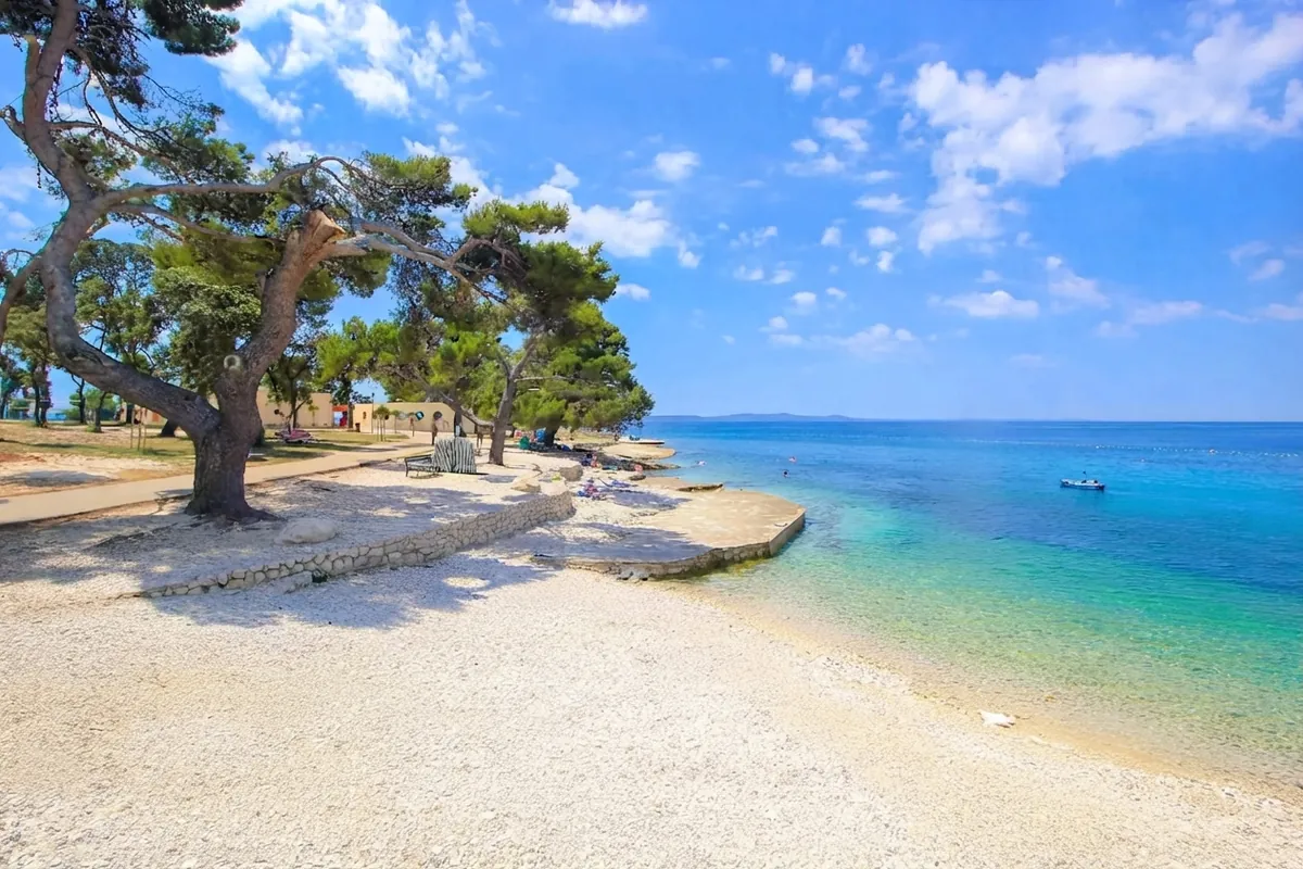 A pebble beach at Petrčane shaded by wind-bent pine trees, with clear turquoise water and a small boat offshore