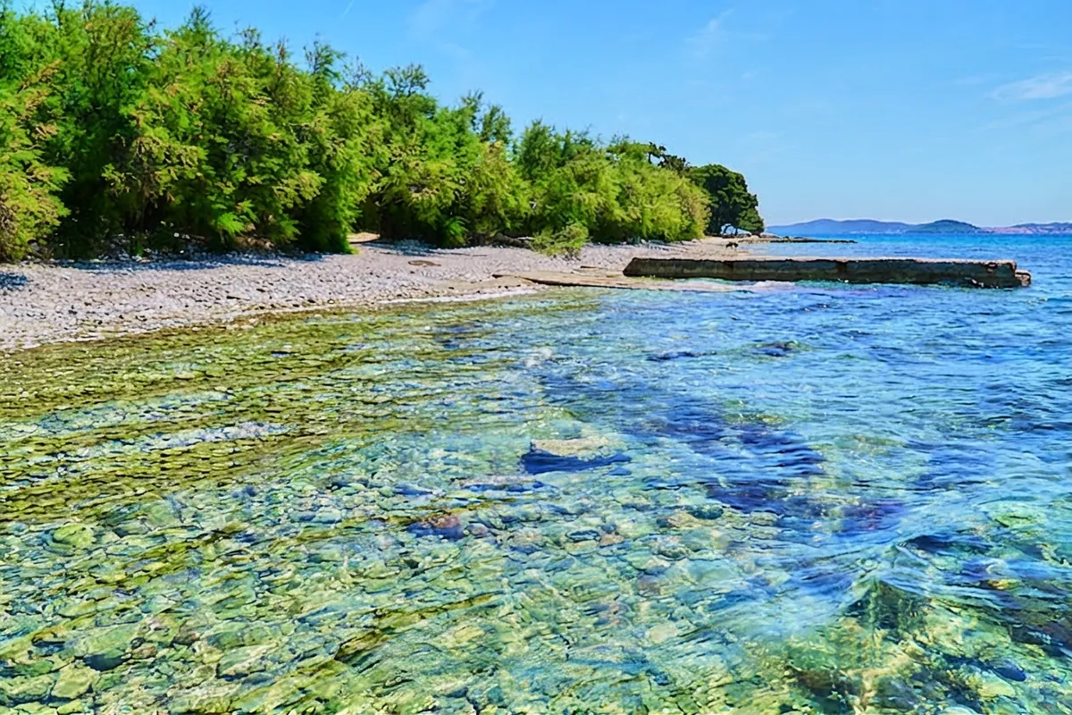 Clear shallow water over a pebble seabed at Puntamika, with a pine-covered shoreline and islands visible across the bay